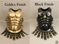 300 Movie Warrior Costume ~ Spartan King Warrior Armour-muscle armor - collectiblegiftitems