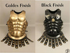 300 Movie Warrior Costume ~ Spartan King Warrior Armour-muscle armor - collectiblegiftitems