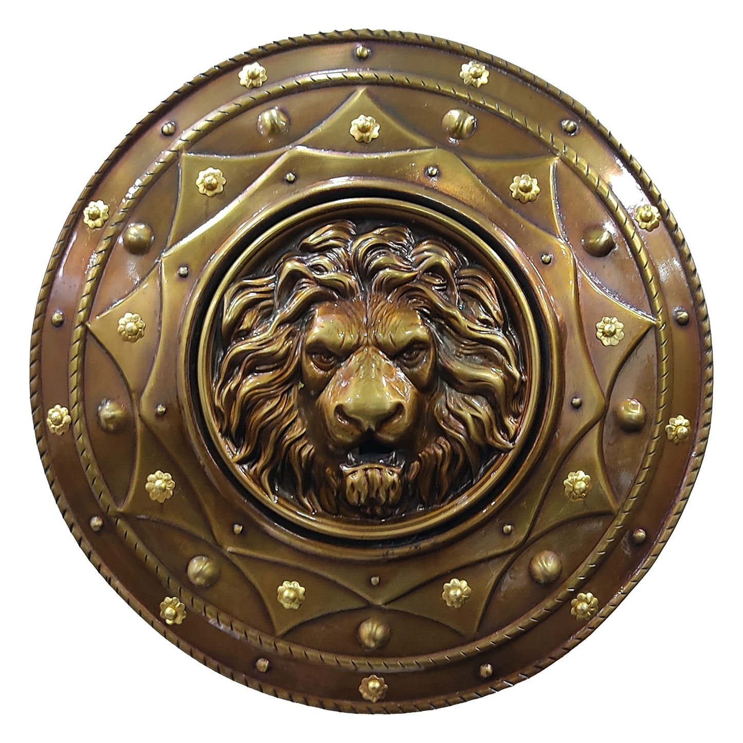 Escudo redondo de hierro con cara de león para niños, 12"