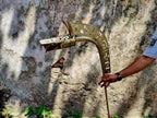 Carnyx of Tintignac - Medieval Deskford Celtic War Trumpet Horn - collectiblegiftitems