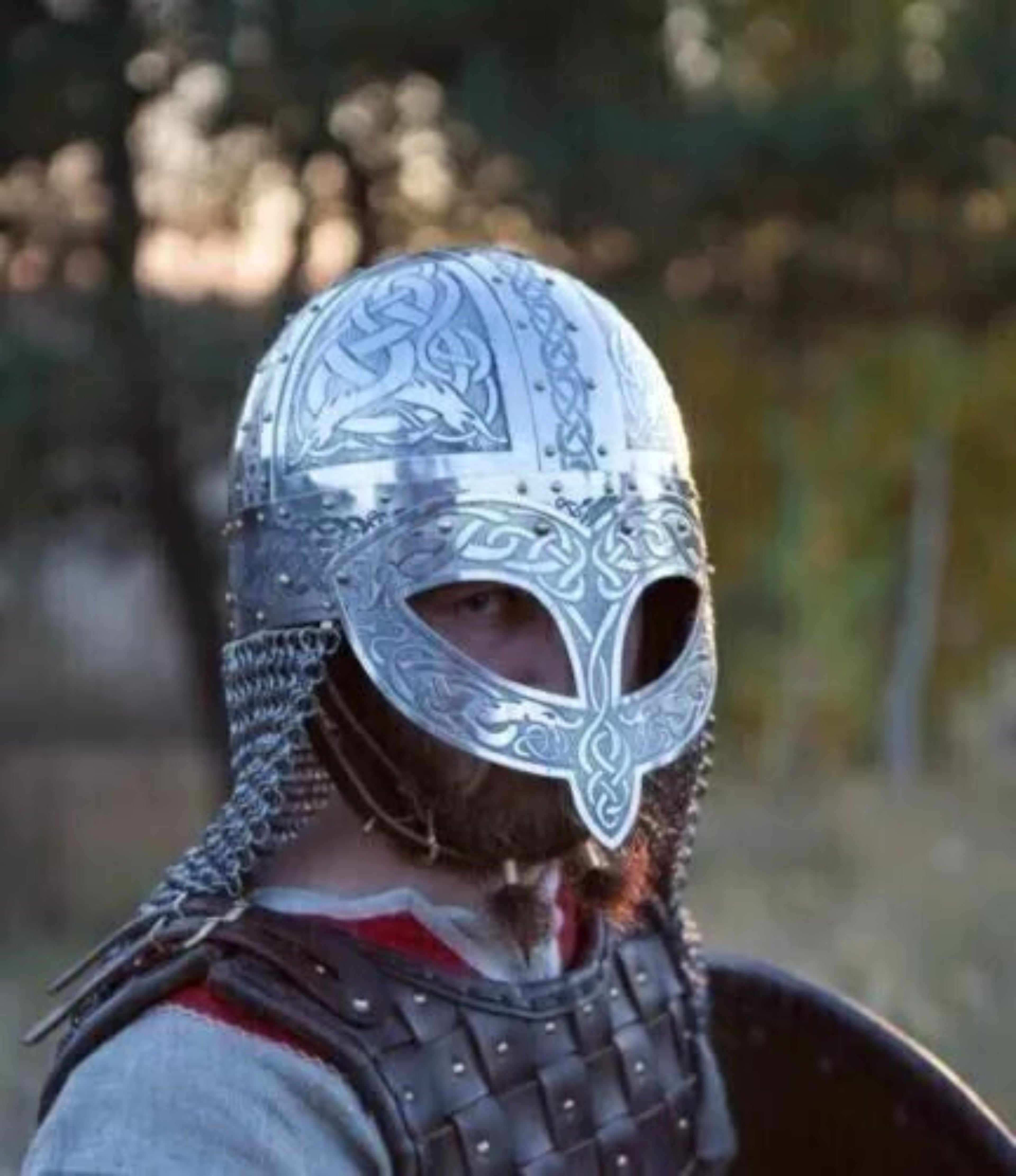 Person wearing a detailed silver helmet with a blurred natural background